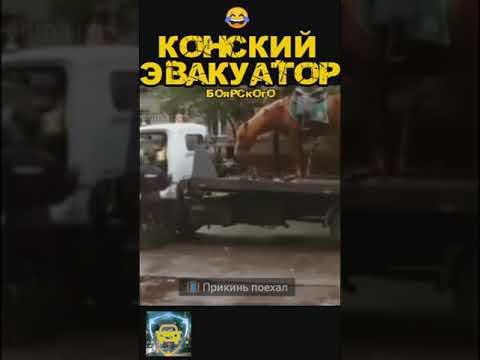 Эвакуатор полицейских коней 🤓🤓🤓 | Приколы часть 44 | Тик Ток #shorts