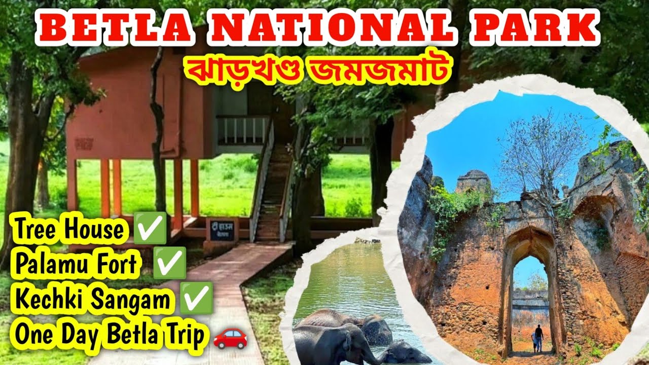 Betla National Park // Palamu Fort // Jharkhand // থাকা খাওয়া // Booking Information