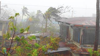 Download Lagu Terrible weather for life. Сyclone Seroja in Indonesia and East Timor. MP3