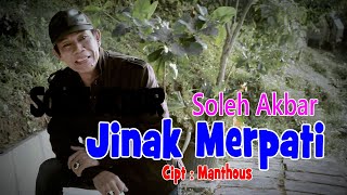 Soleh Akbar -  Jinak Merpati [OFFICIAL]