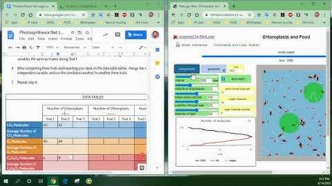 Net Logo: Chloroplasts and Food (Investigation B)