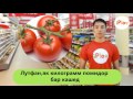 Уроки Русского языка – Магазин (Таджиксикий) от iPlov