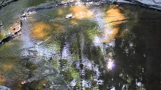 New Relaxing Water Films - Brookside Beach