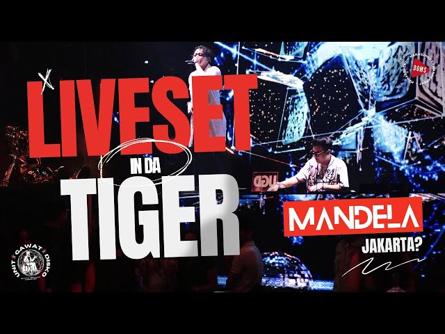 MANDELA LIVE DJ SET - GOLDEN TIGER QBIG - UNIT GAWAT DISKO class=