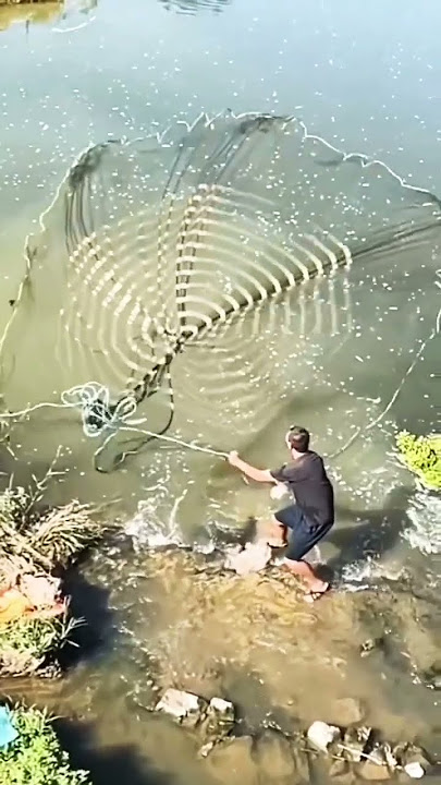 Cara Tepat Lempar Jala Ikan #shortsvideo #Menjala #Trik