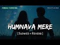 Humnava Mere Lofi Slowed Reverb Shreya Ghoshal Jubin Nautiyal Maa RN Lofi Alone