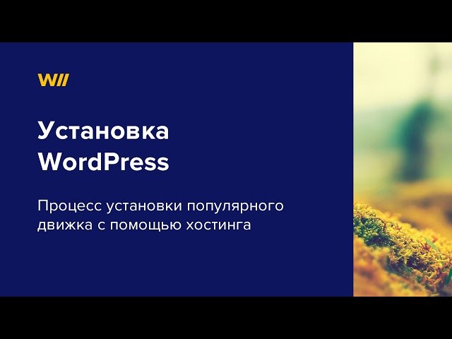 Установка движка wordpress. Урок 1