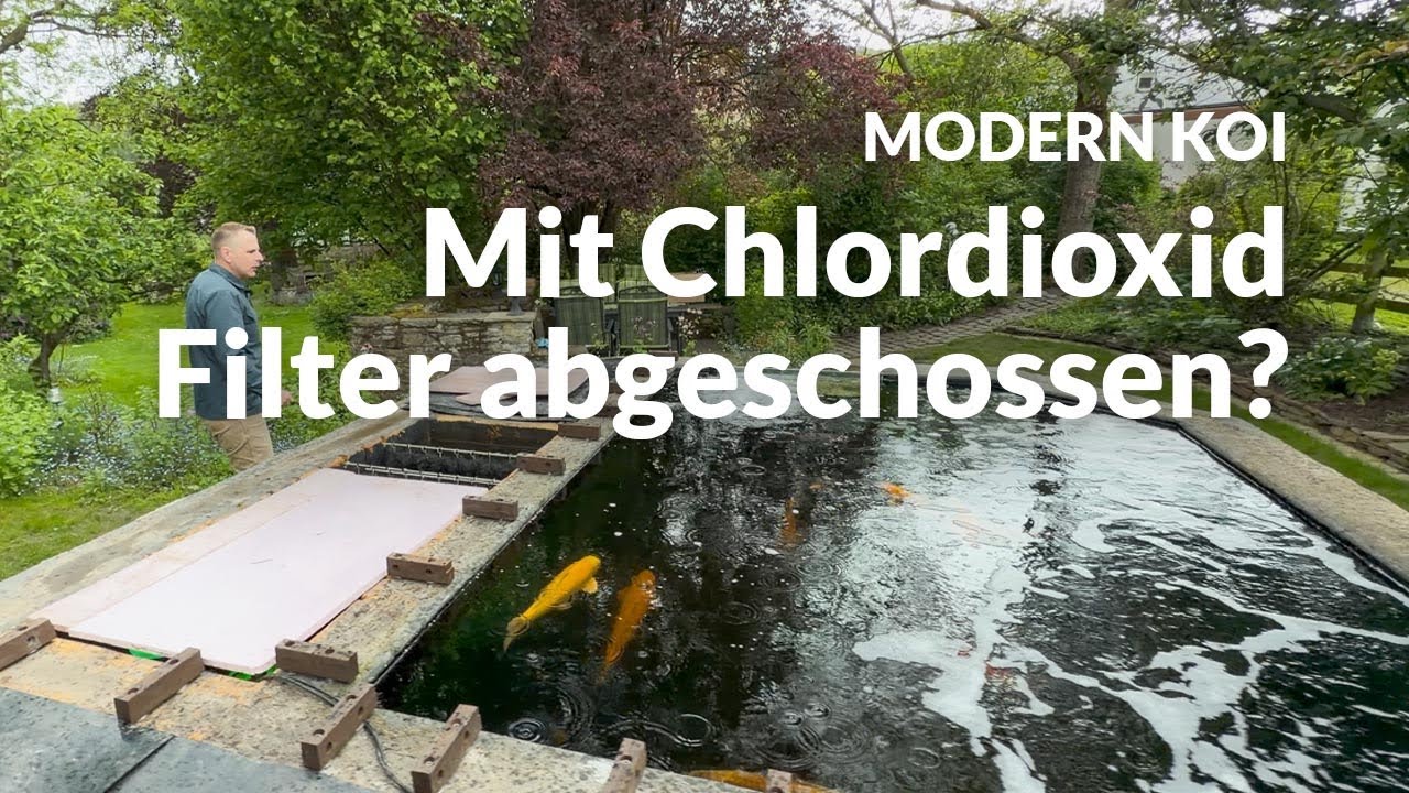 Eine Wasseranalyse an Marks Krankheits-Teich | Modern Koi Blog #8137