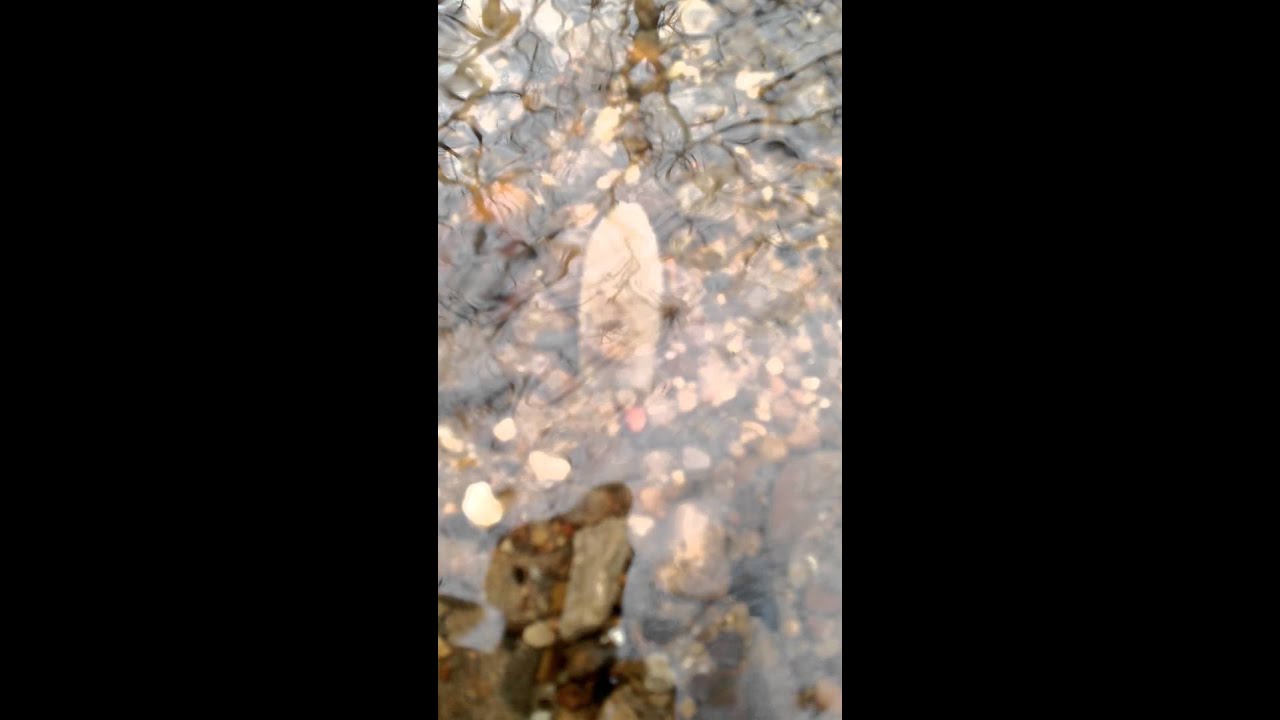 The McCrory Clovis find of a lifetime.