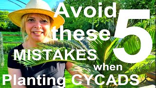 Tropical Gardens UK:  5 Mistakes to Avoid When Planting Exotic Sago Palms, Cycads  Cycas revoluta