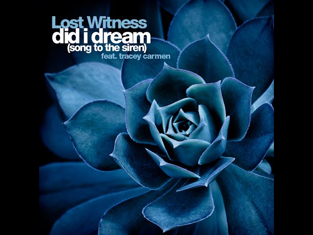 Lost Witness - Did I Dream