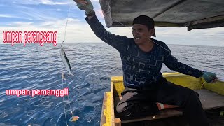 sampai dasar umpan langsung disambar tehnik umpan amis dan pemanggil ikan besar