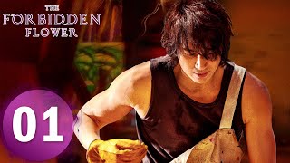 【The Forbidden Flower】EP01——Starring: Jerry Yan, Xu Ruohan | ENG SUB