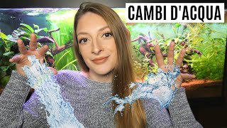 CAMBI D'ACQUA IN ACQUARIO 💦 Guida e consigli