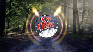 Dj pong pong versi gleerr...