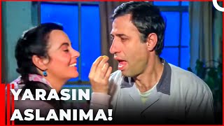 Kız Kaçırma Operasyonu Başarılı! | Postacı Özel Sahneler