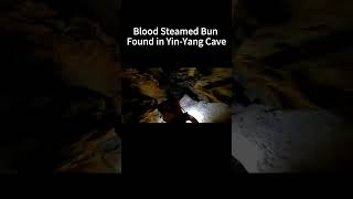 Blood Buns Were Found in Yin Yang Cave! #adventure #caves #sinkhole #cliffs #outdoor #outdoors #cave Resimi