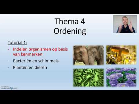 Ordening biodam biologie - 1 van 3