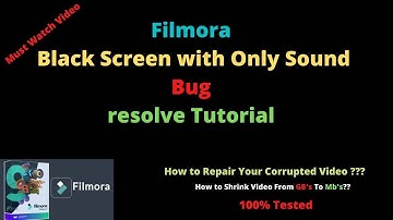 Black Screen Issues with Filmora | Shrink Your Videos | Best Video Converter |Repair Corrupt Videos