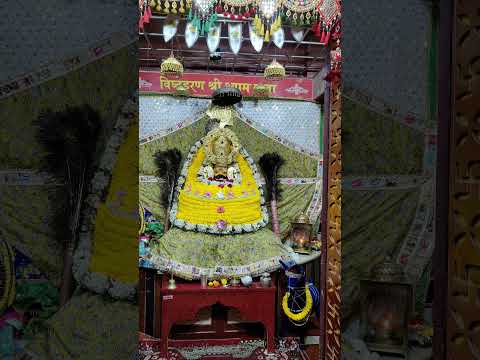 Hare k Sahara Shyam baba #ytshorts #viralvideo#khatushyam#like#share#subscribe❤️🌹