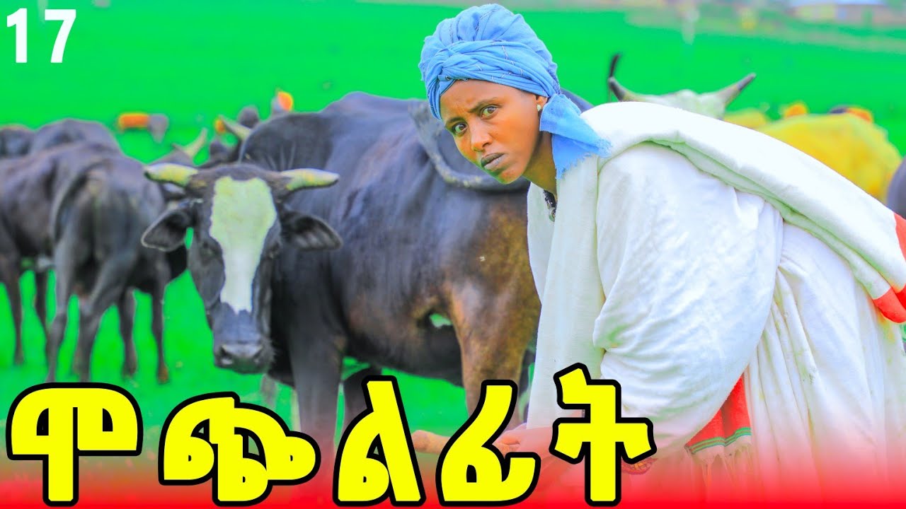 ሞጭልፊት 17 አዲስ የገጠር ድራማ 2017 (Mochilfit 17) New ethiopian comedy 2025