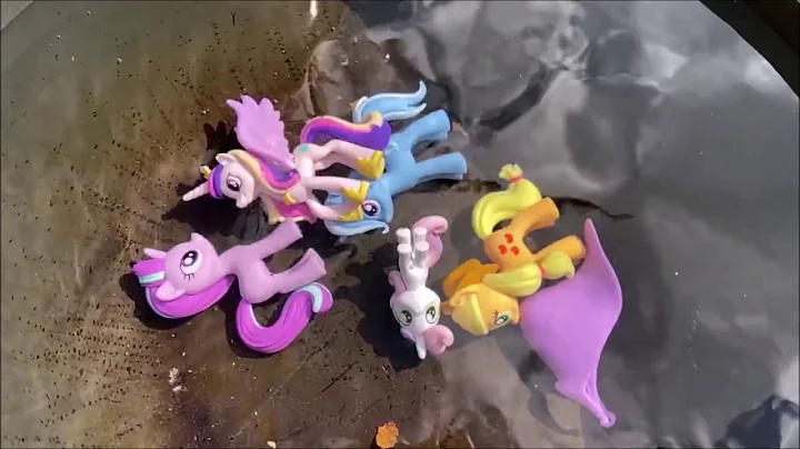 The Ponies Adventure