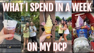 what i spend in a week on the dcp || food, appointments, gas, & more!