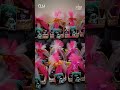 Eidi Mubarak from NKU Technologies | Eid Mubarak | NKU Technologies
