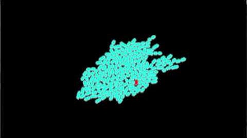 Pattern Formation in Distributed System