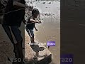 #shorts