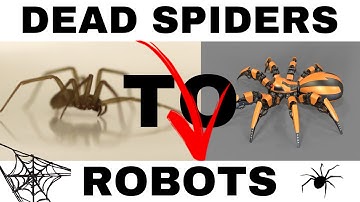 Scientists Turned Dead Spiders To Robots 🕸☠️