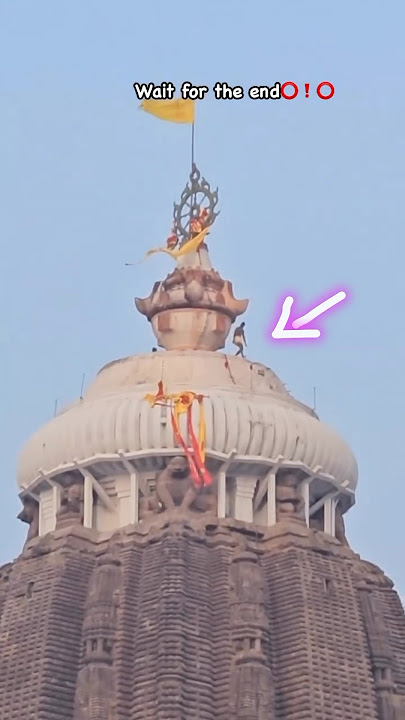 #viralvideo #jayjagannath #radheradhe #nrusinghamohapatra