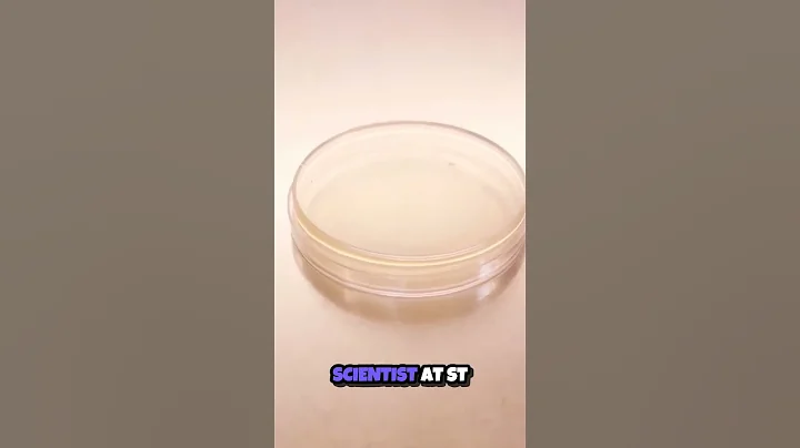 How Penicillin Changed the World  The Accidental Discovery That Saved Millions 💊