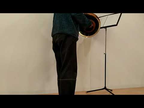 ホルン演奏 DQ2 ほこら - NES Dragon Warrior 2 Shrine French Horn Cover