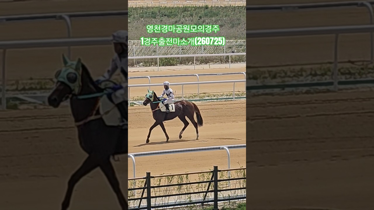 영천경마공원모의경주#1경주출전마소개(260725)