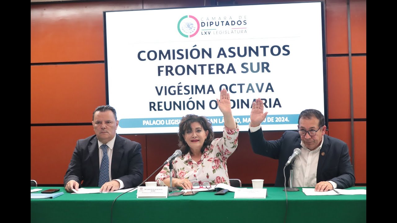 EN VIVO / Reunión Ordinaria de la Comisión de Asuntos Frontera Sur ...