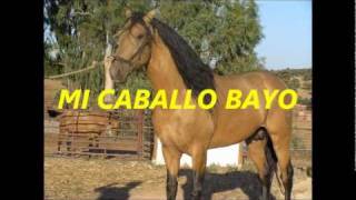 Miniatura del video "CHAMAME MI CABALLO BAYO TONY GAMARRA.wmv"