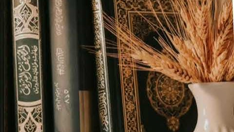 تلاوة خاشعة تريح القلب بصوت القارئ زياد محمد حامد