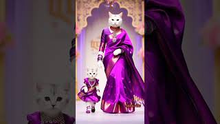 Cat In Saree