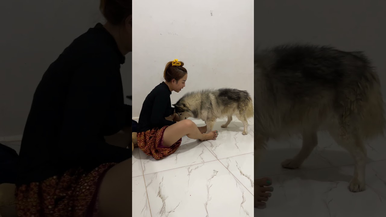 Aww!! TONY very happy to play with KOUCH 