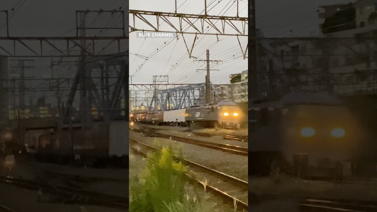 (貨物列車) 2025/10/24 2064レ EF210-101 + コキ25B (百済タ〜東京タ) #Shorts