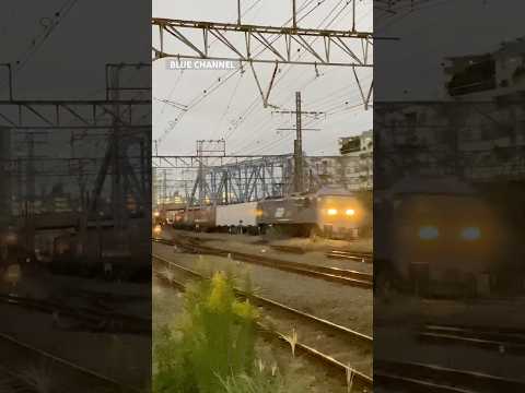 (貨物列車) 2025/10/24 2064レ EF210-101 + コキ25B (百済タ〜東京タ) #Shorts