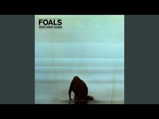 Foals - Snake Oil