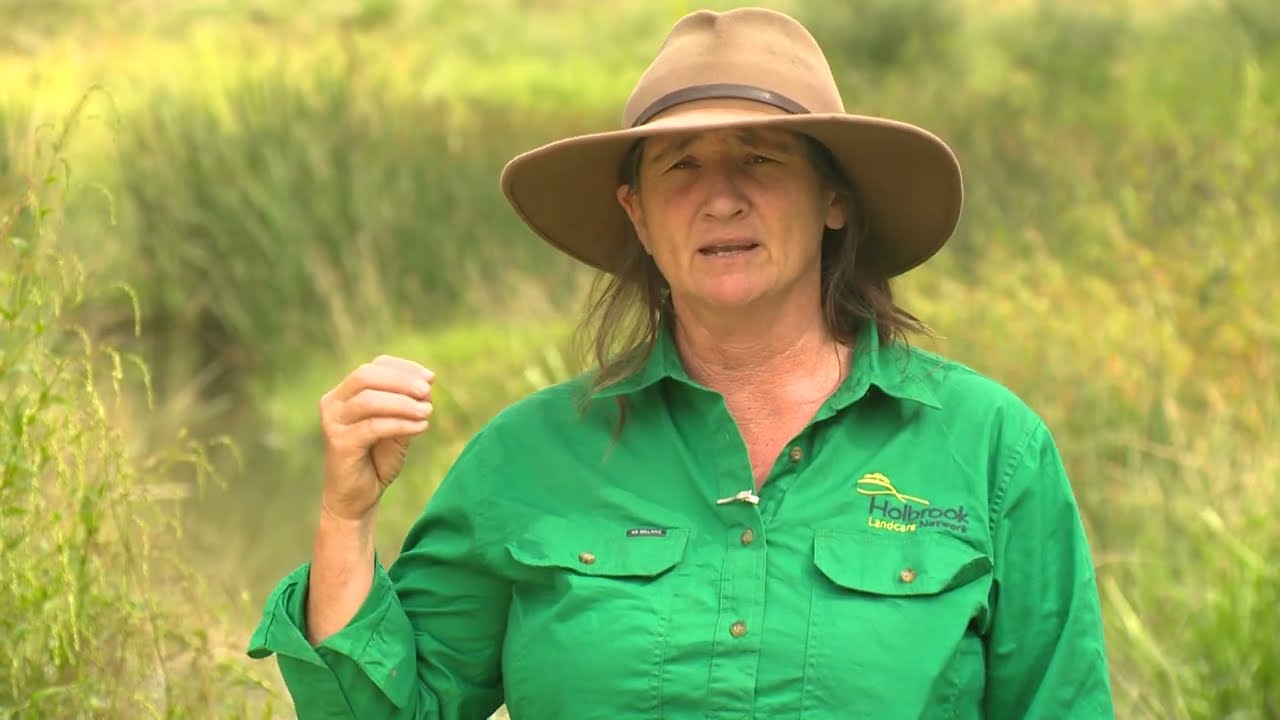 Celebrating Success: Southern Pygmy Perch projects