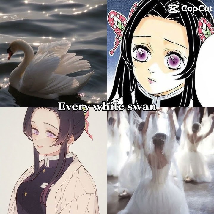 white swan￼ and black swan #shinobu #kanae #capcuttemplate #demonslayer {🌹read the description🌹}