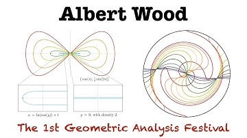 [1st GAF] Albert Wood 01 Singularities of Lagrangian Mean Curvature Flow