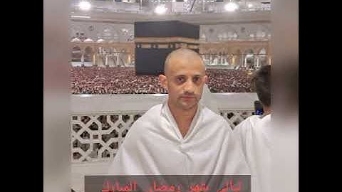 القارئ ابراهيم نجيب هاشم