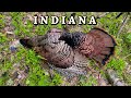 Close range standoff insane gobbling and hen talk  turkey hunting with jim ryser