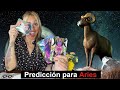 ARIES / REPETICIÓN DE UN DOLOROSO AMOR 🤦💔 SOLO TU PUEDES CAMBIAR ESO 🙌😳