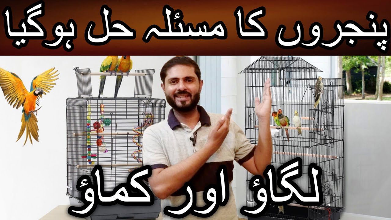 Behtreen setup ki shuroat ab bane ga behtreen setup | Cheapest price ...